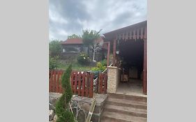 Dana Guest House
